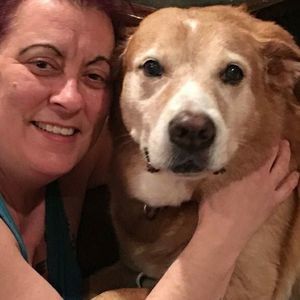 Meet your Posher, Dawn